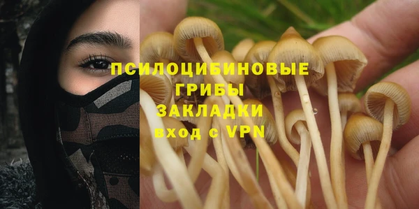 хмурый Алексин