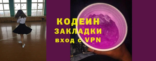 хмурый Алексин