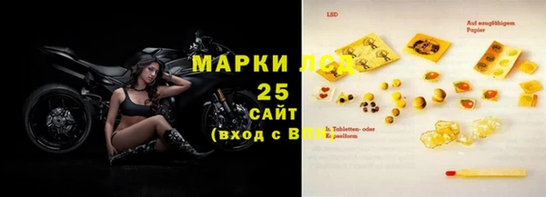 хмурый Алексин