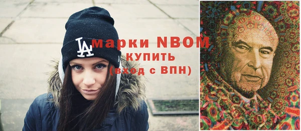 хмурый Алексин