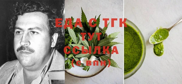 хмурый Алексин