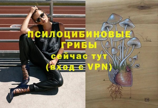 герыч Алзамай