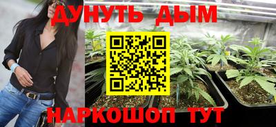 хмурый Свободный