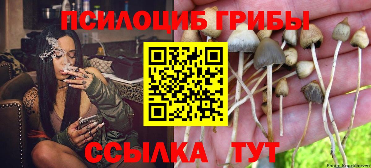 Псилоцибиновые грибы MAGIC MUSHROOMS  Вход с VPN  Галлюциногенные грибы мицелий  Сургут 