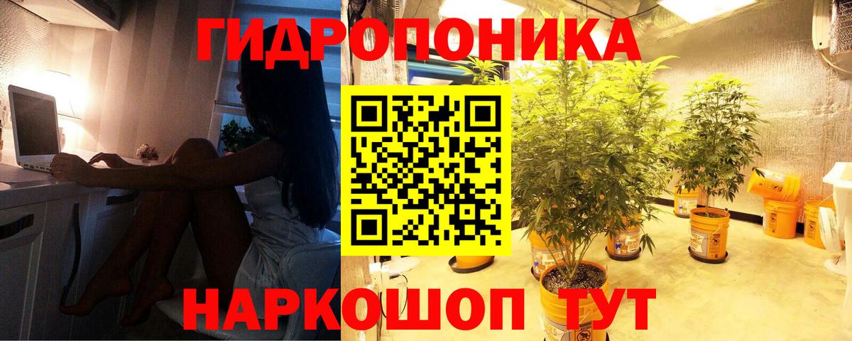 Канабис ГИДРОПОН  МАРИХУАНА VHQ  Сургут  Конопля семена  Бошки марихуана SATIVA & INDICA  Вход с VPN 